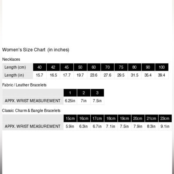 NWOT Pandora Charm Carrier Moments Silver
Pave Bangle Bracelet w 2 Stoppers Sz 3 - Picture 3 of 11